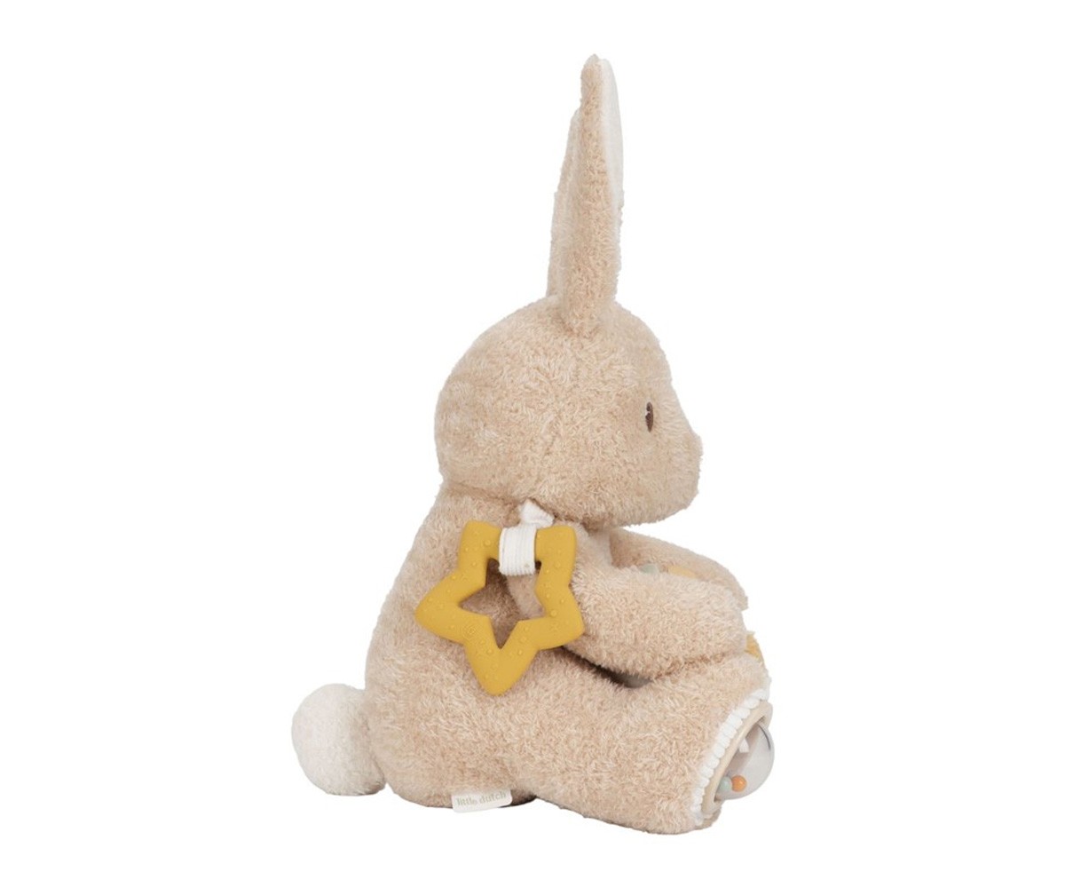 Coelho Atividades Naturais para Recém-Nascidos