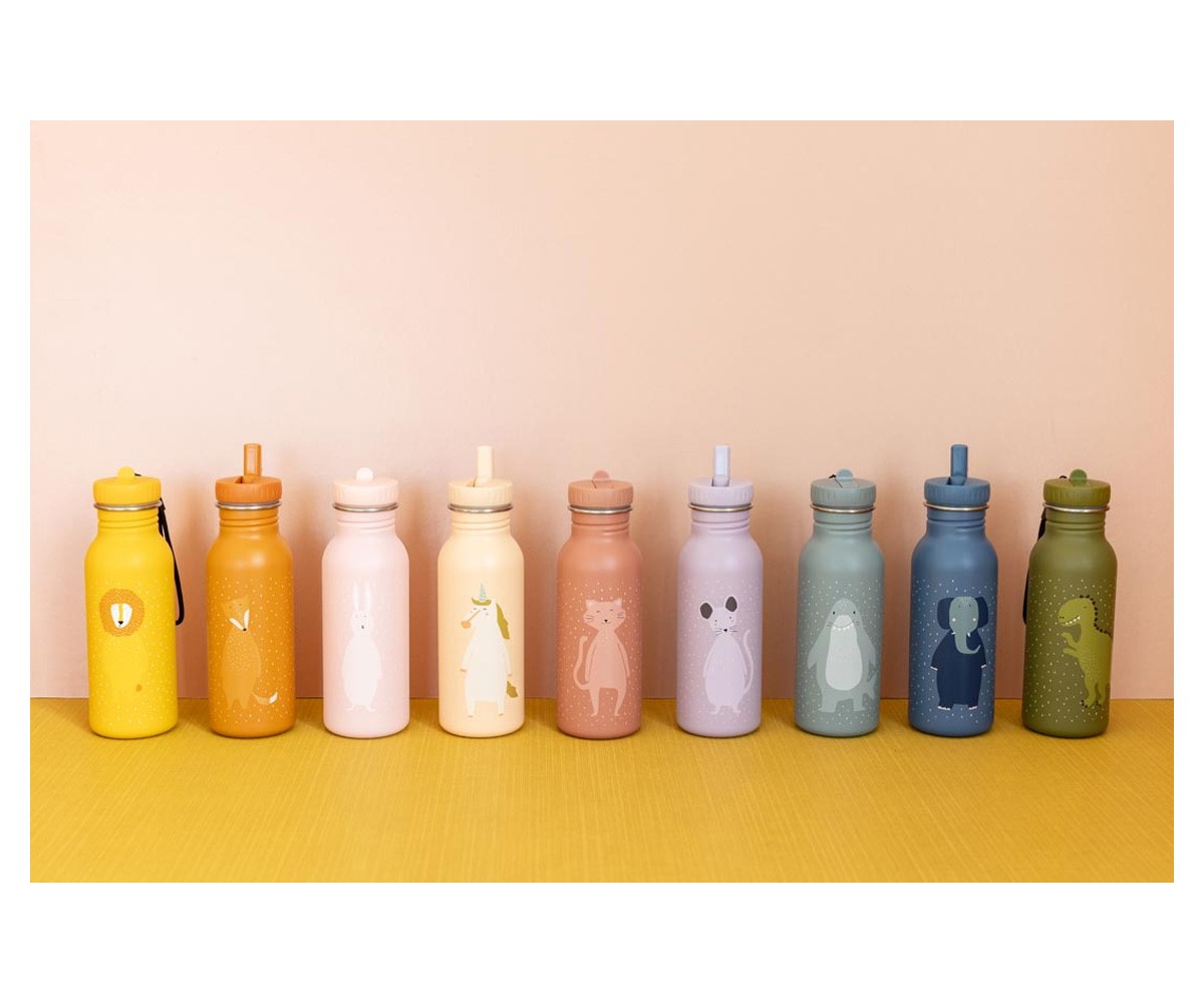 Garrafa de Aço Trixie Mr. Fox 500ml