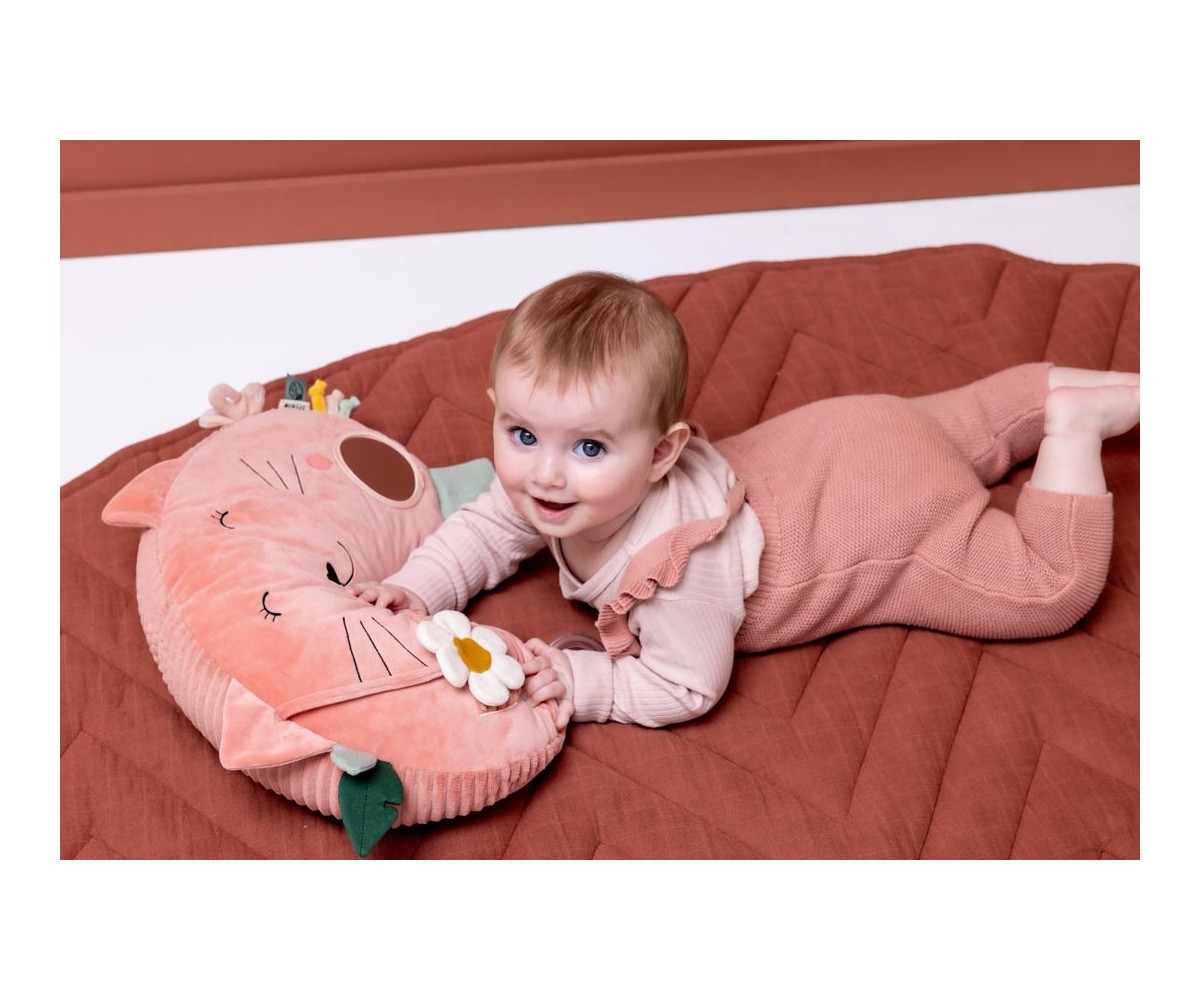 Cuscino Activity Mrs.Cat