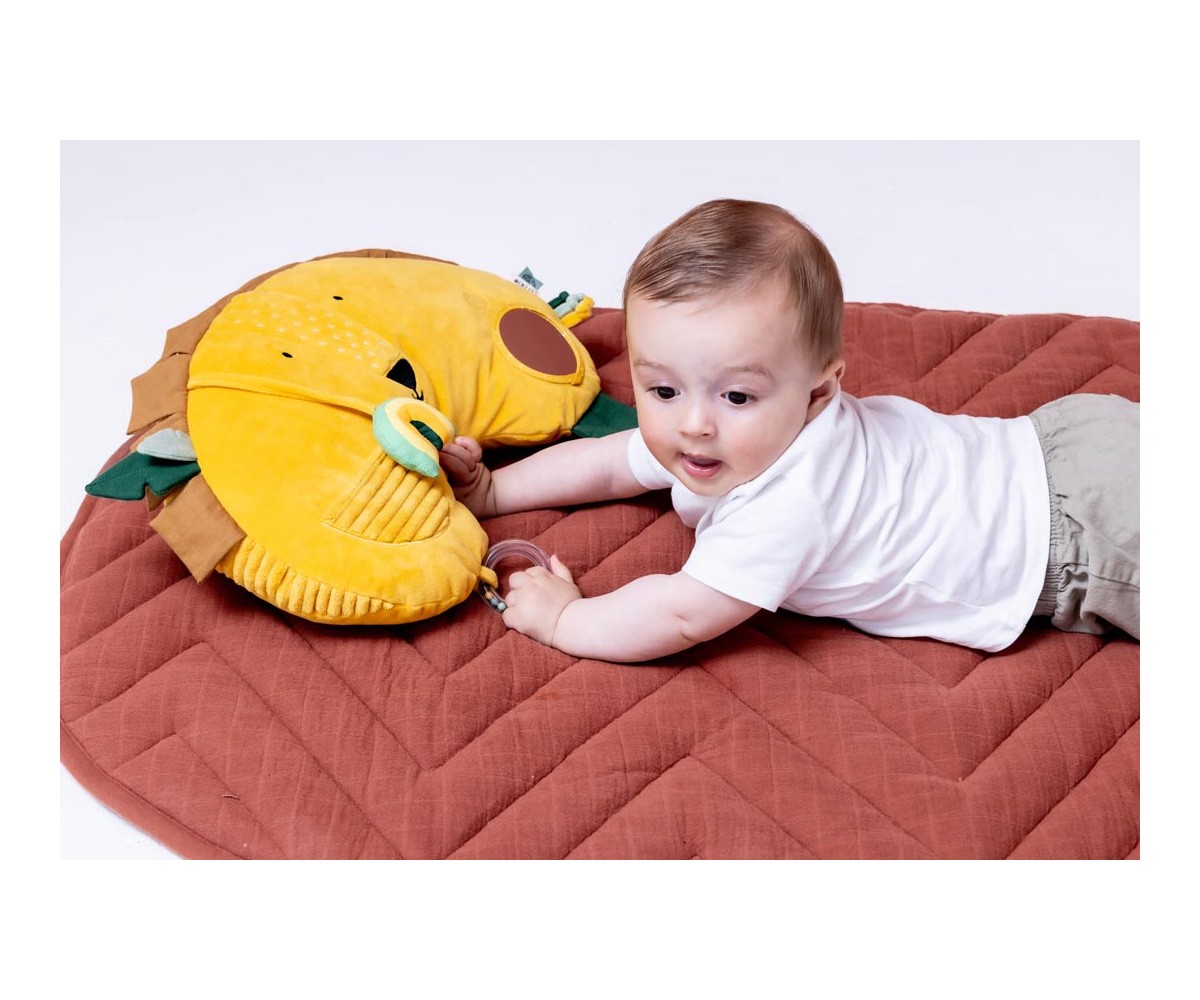 Cuscino Activity Mr.Lion
