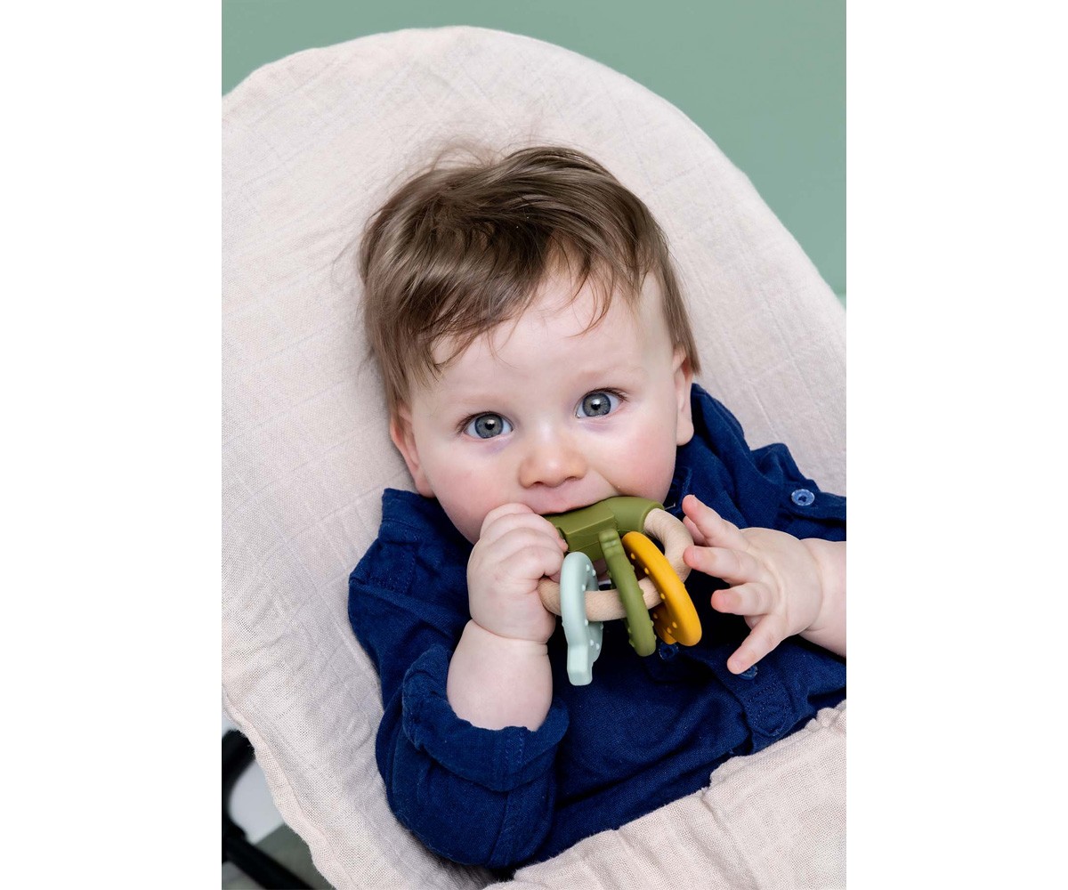 Mordedor de Actividades de Silicona y Madera Mr. Dino