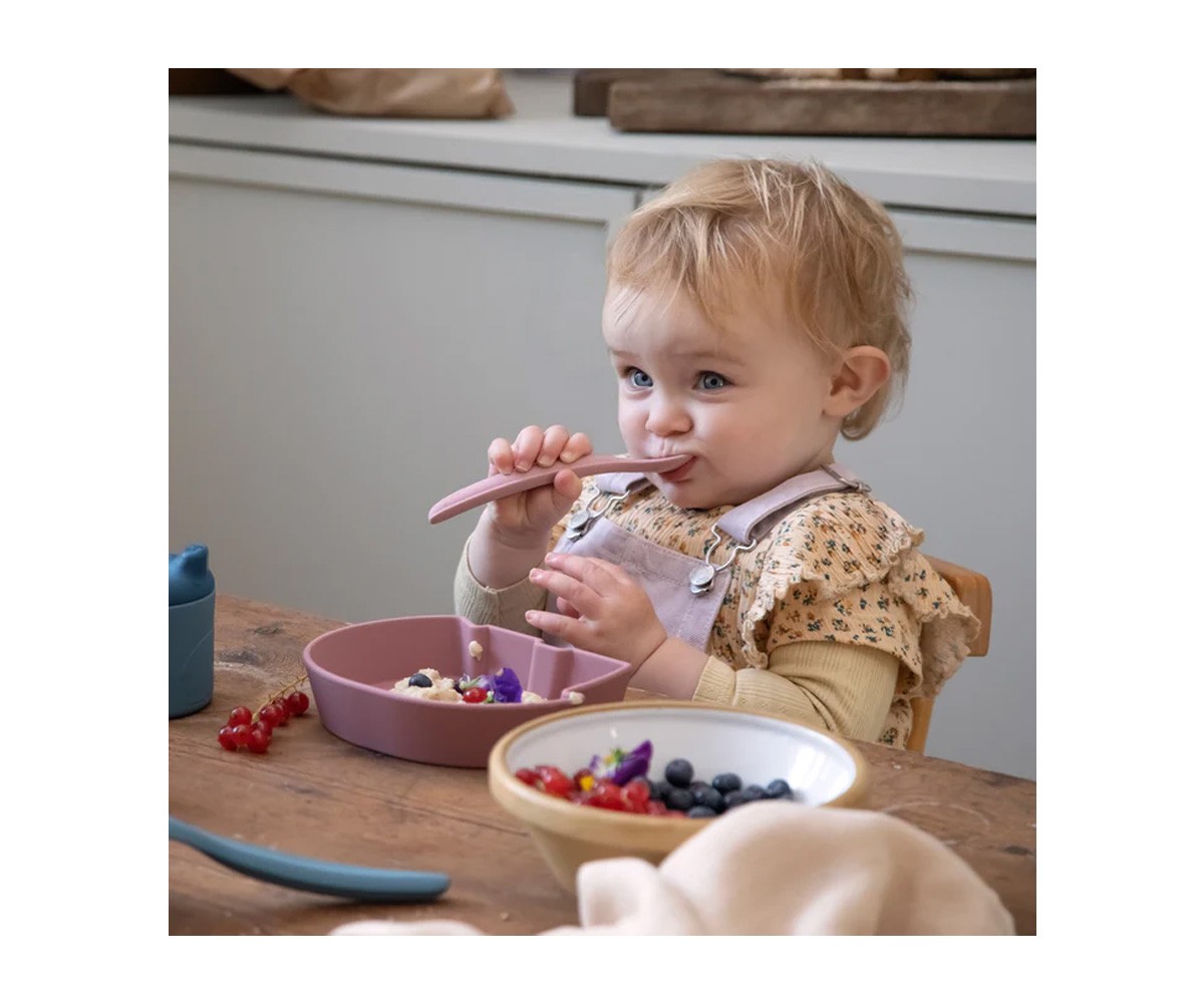 Bol en Silicone Fanto Vintage Rose