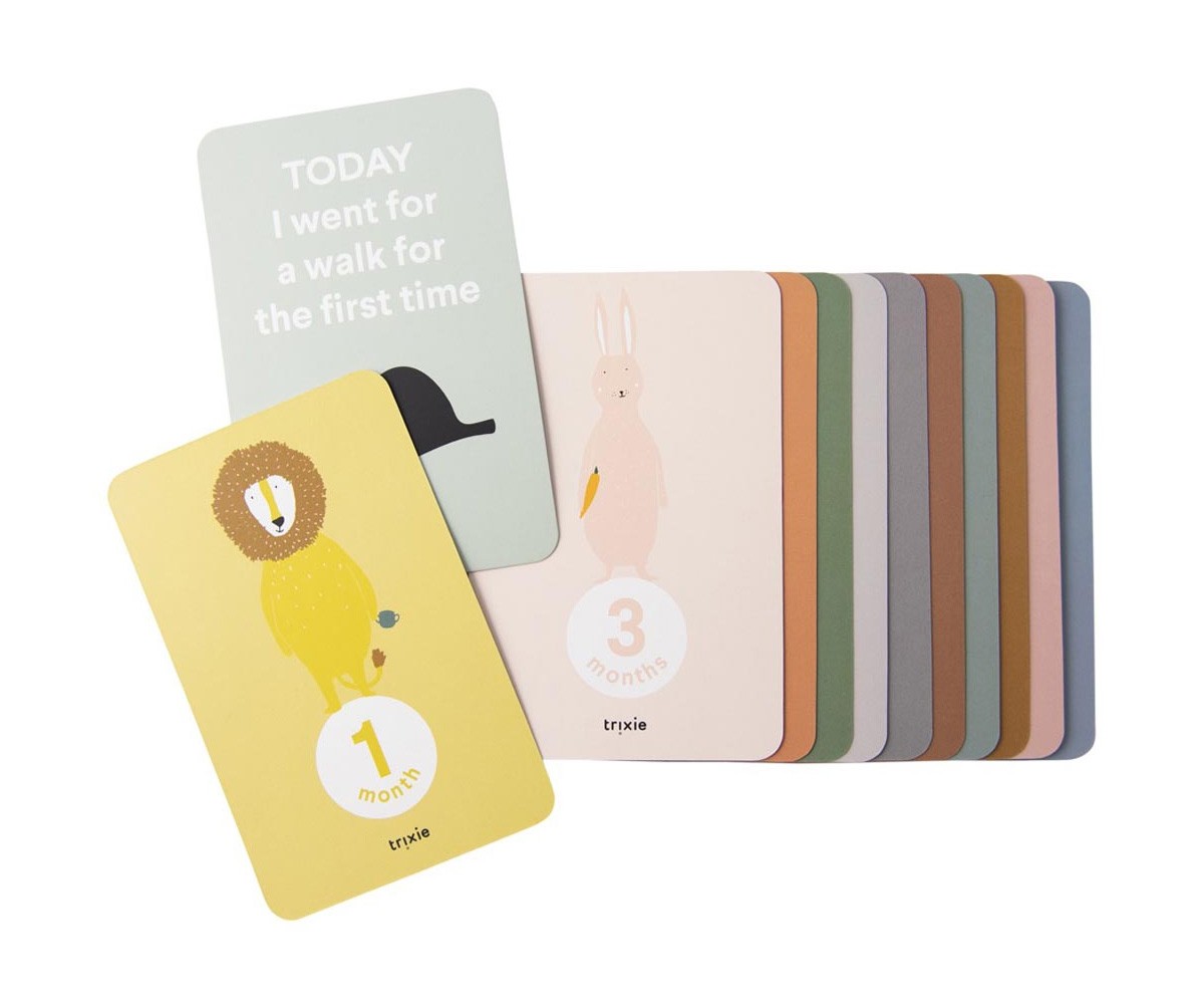 Tarjetas Mis Primeros 12 Meses Trixie