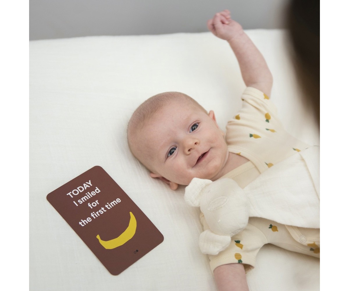 Tarjetas Mis Primeros 12 Meses Trixie