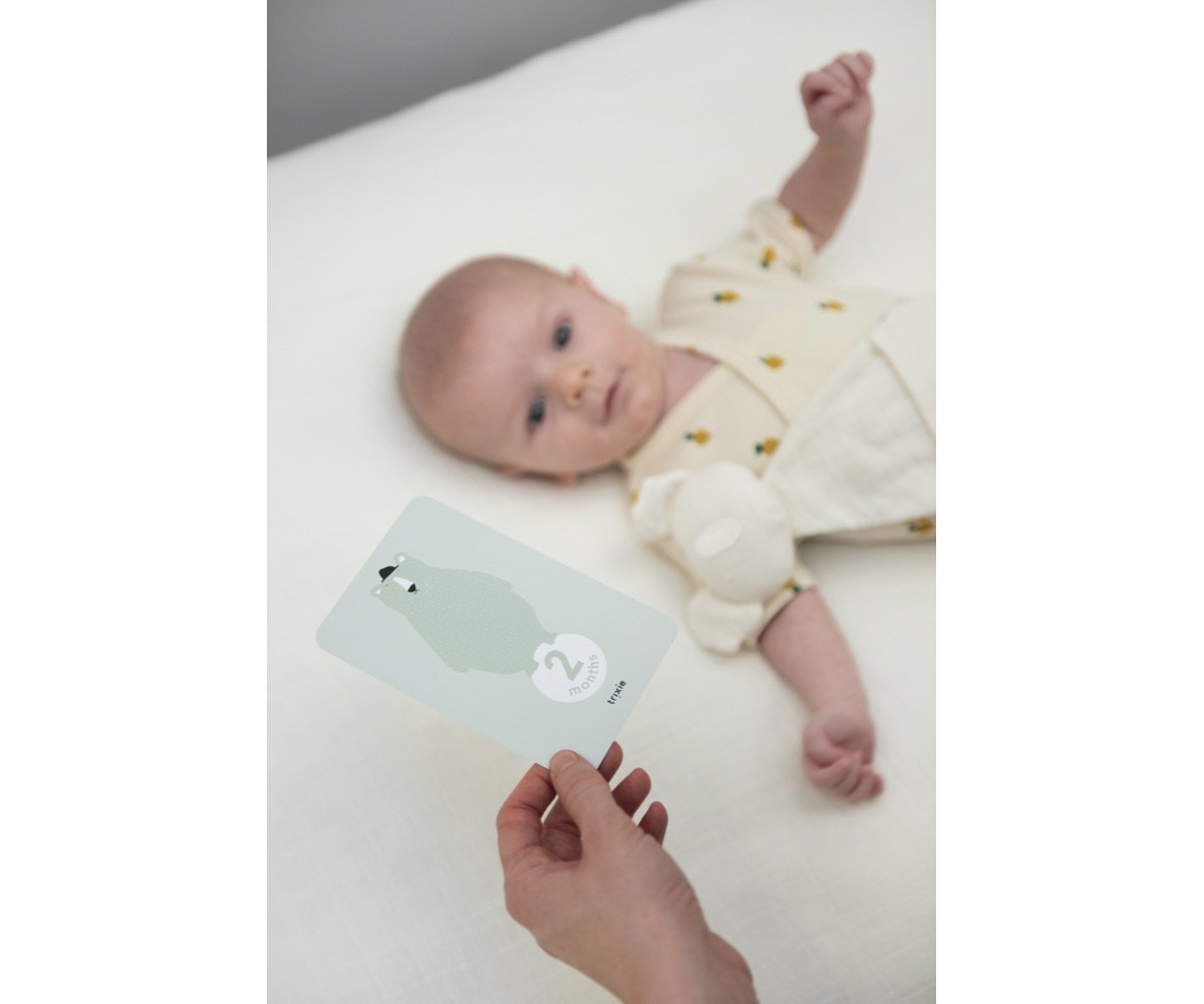 Tarjetas Mis Primeros 12 Meses Trixie