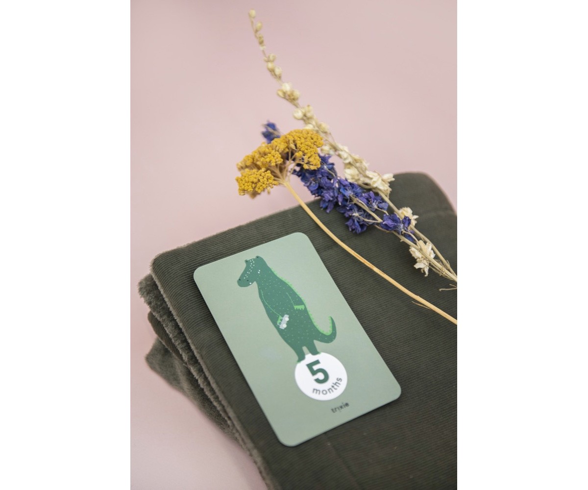 Tarjetas Mis Primeros 12 Meses Trixie