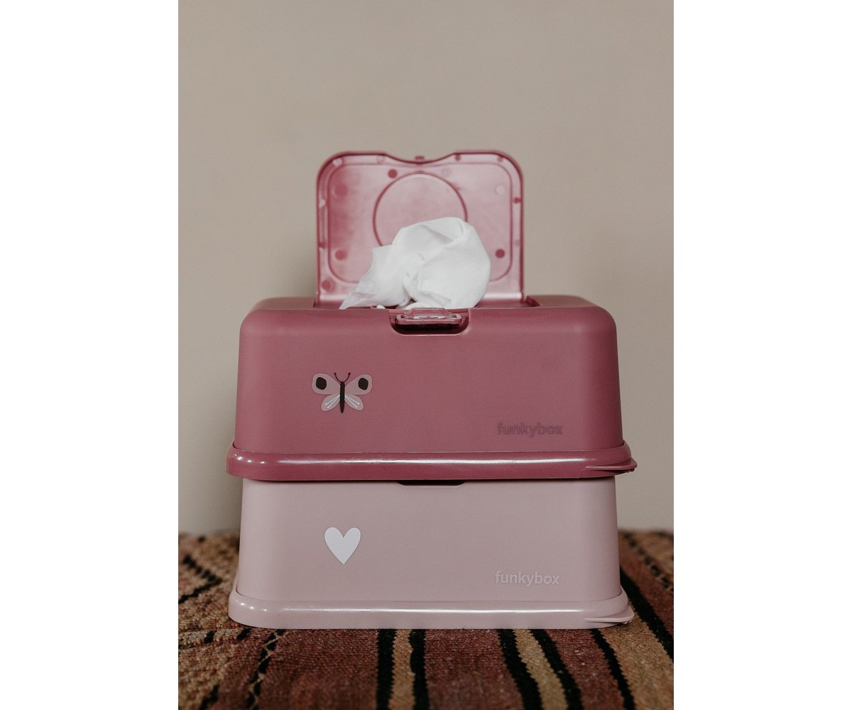 Caixa Toalhitas Funkybox Rosa Borboleta
