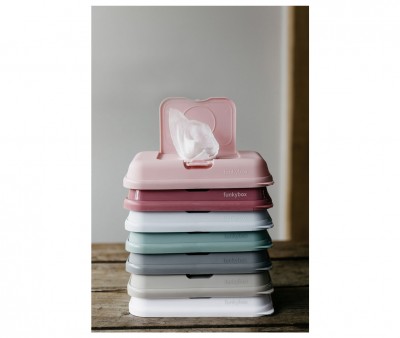 Caja Toallitas Funkybox to Go Plata Estrellas