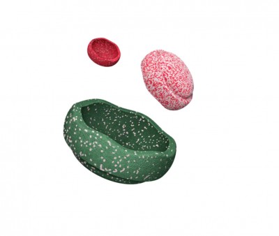 Set Stapelstein® Trilogy Blush Special