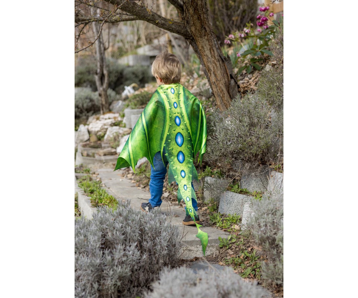 Ali e Mascehra Legendary Dragon 4-6 anni