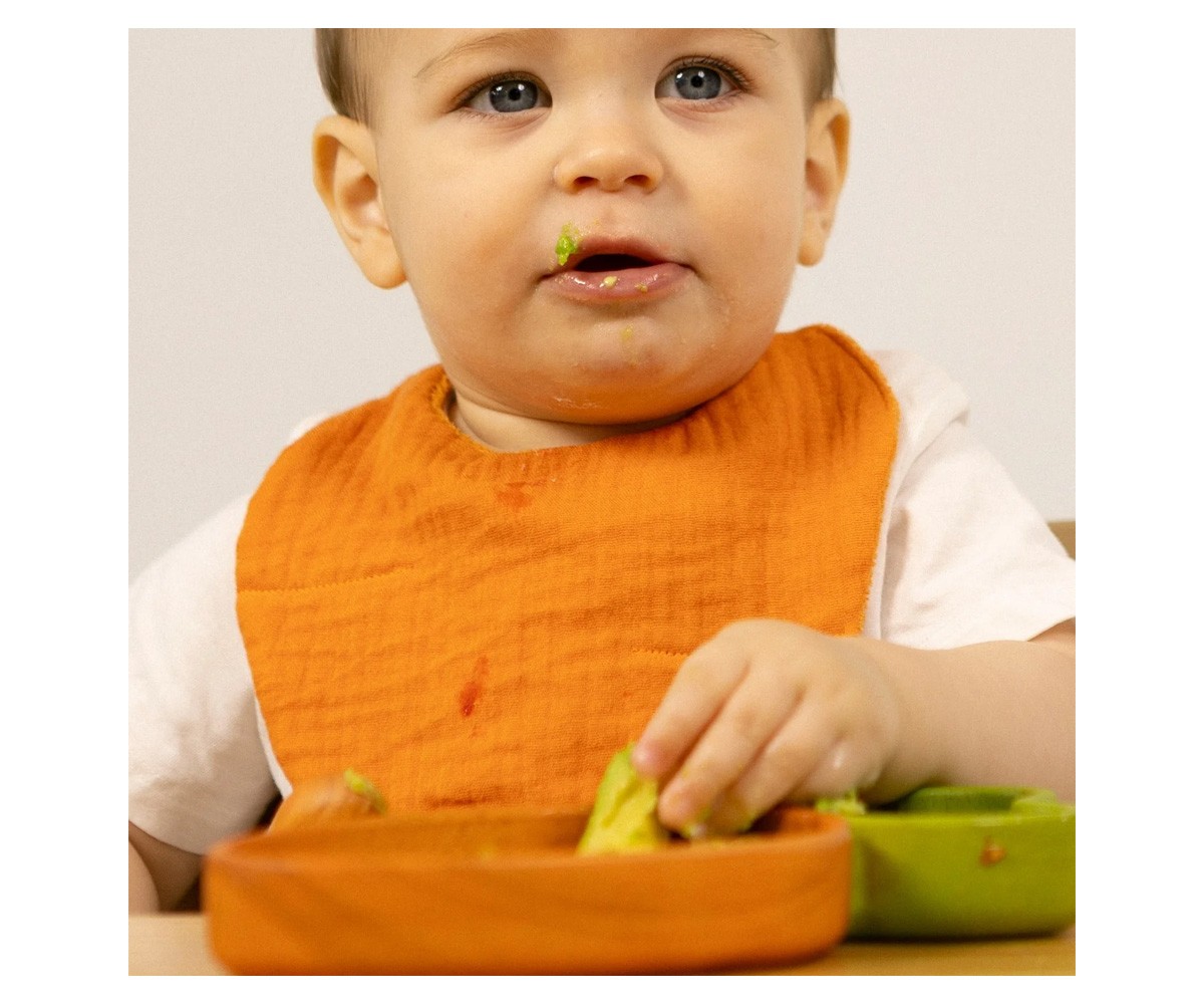 Bavaglio Cathy The Carrot