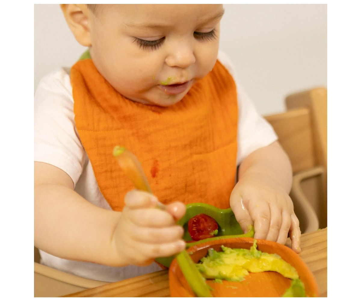 Bavaglio Cathy The Carrot