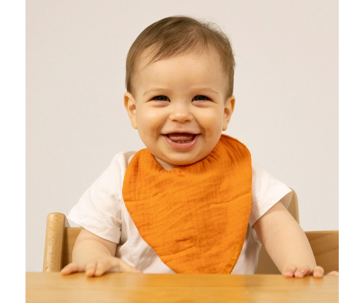 Bavaglio Cathy The Carrot