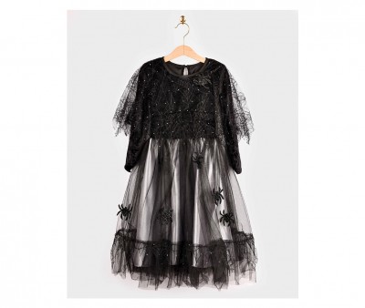 Costume de Sorcière Argenté