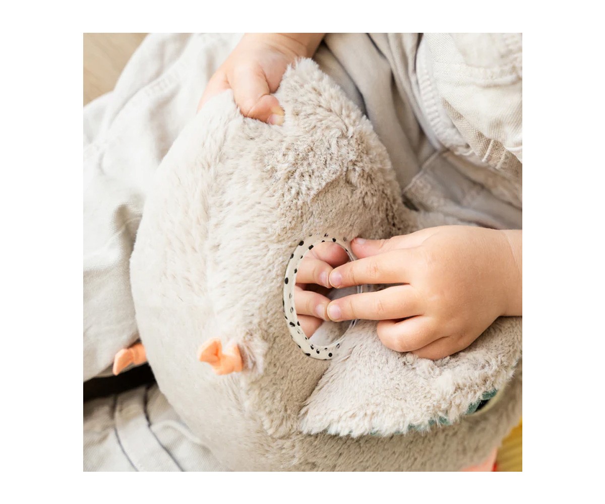 Jouet d'Activités Clucky