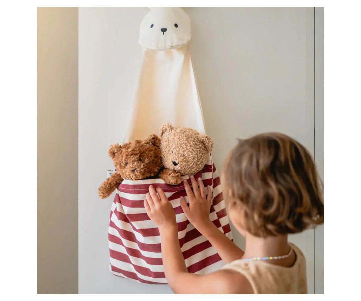 Organizador de Parede  + Bolsa Toto Bunny