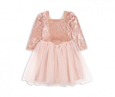 Costume Principessa Elisa Pink