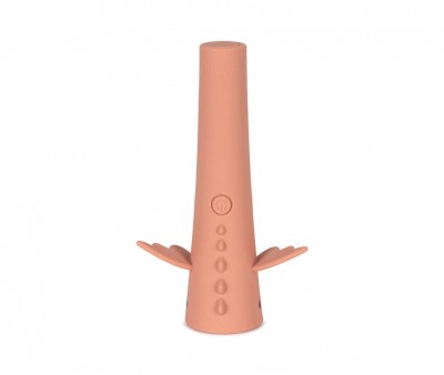 Linterna Dragón Raspberry