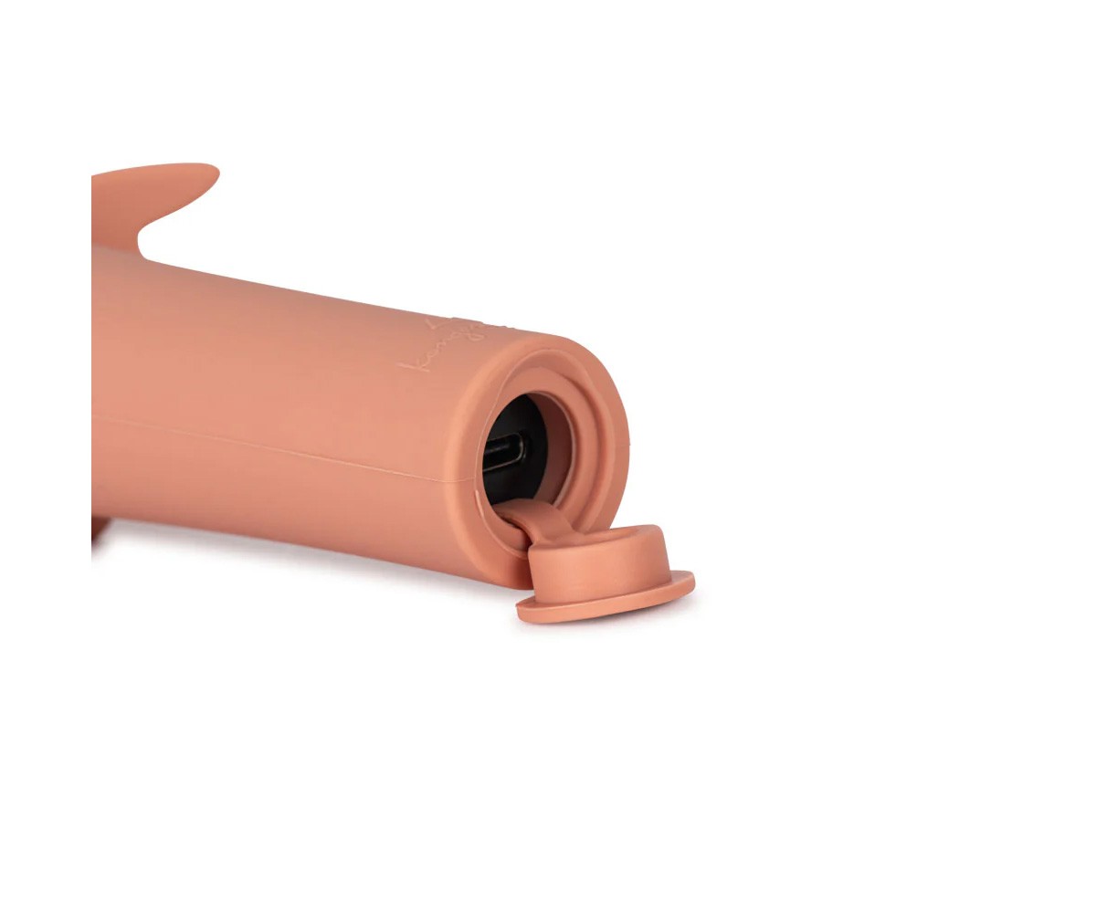 Linterna Dragón Raspberry