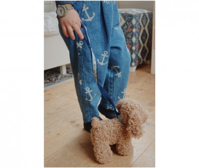 Animal de Compagnie Lulu Puppy