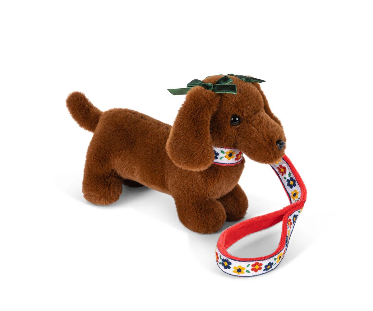 Mascota Cachorro Multi