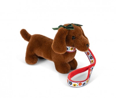 Animal de Compagnie Chiot Multi