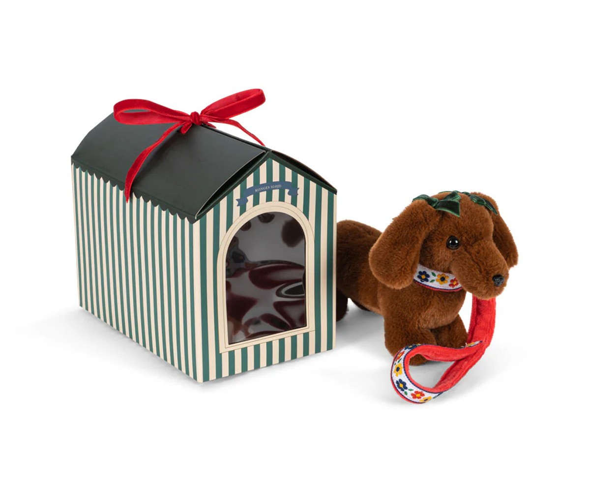 Animal de Compagnie Chiot Multi