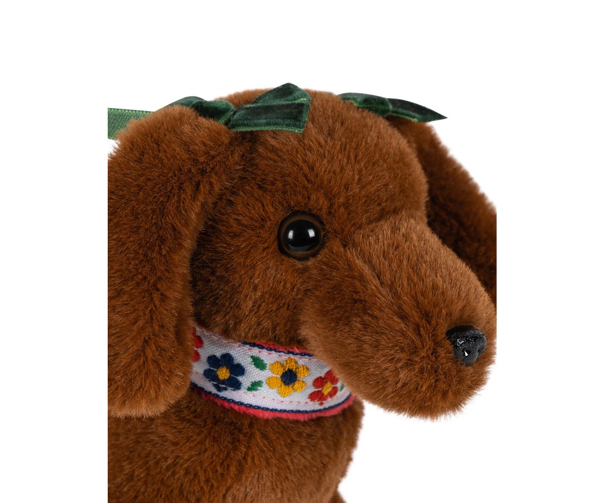 Mascota Cachorro Multi