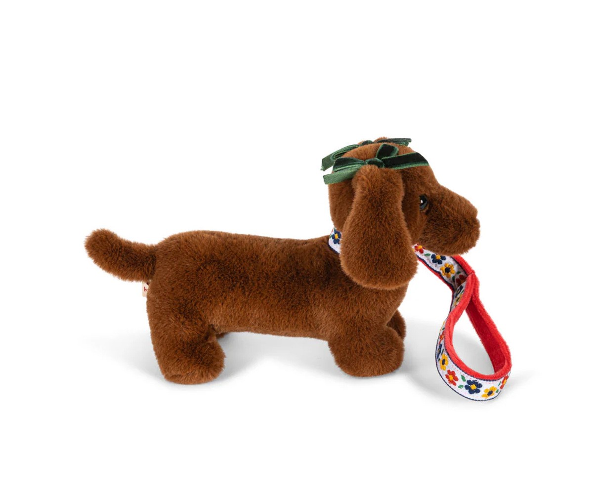 Mascota Cachorro Multi