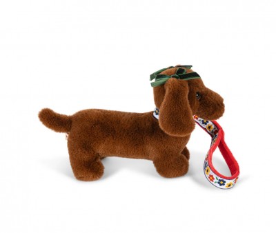 Animal de Compagnie Chiot Multi