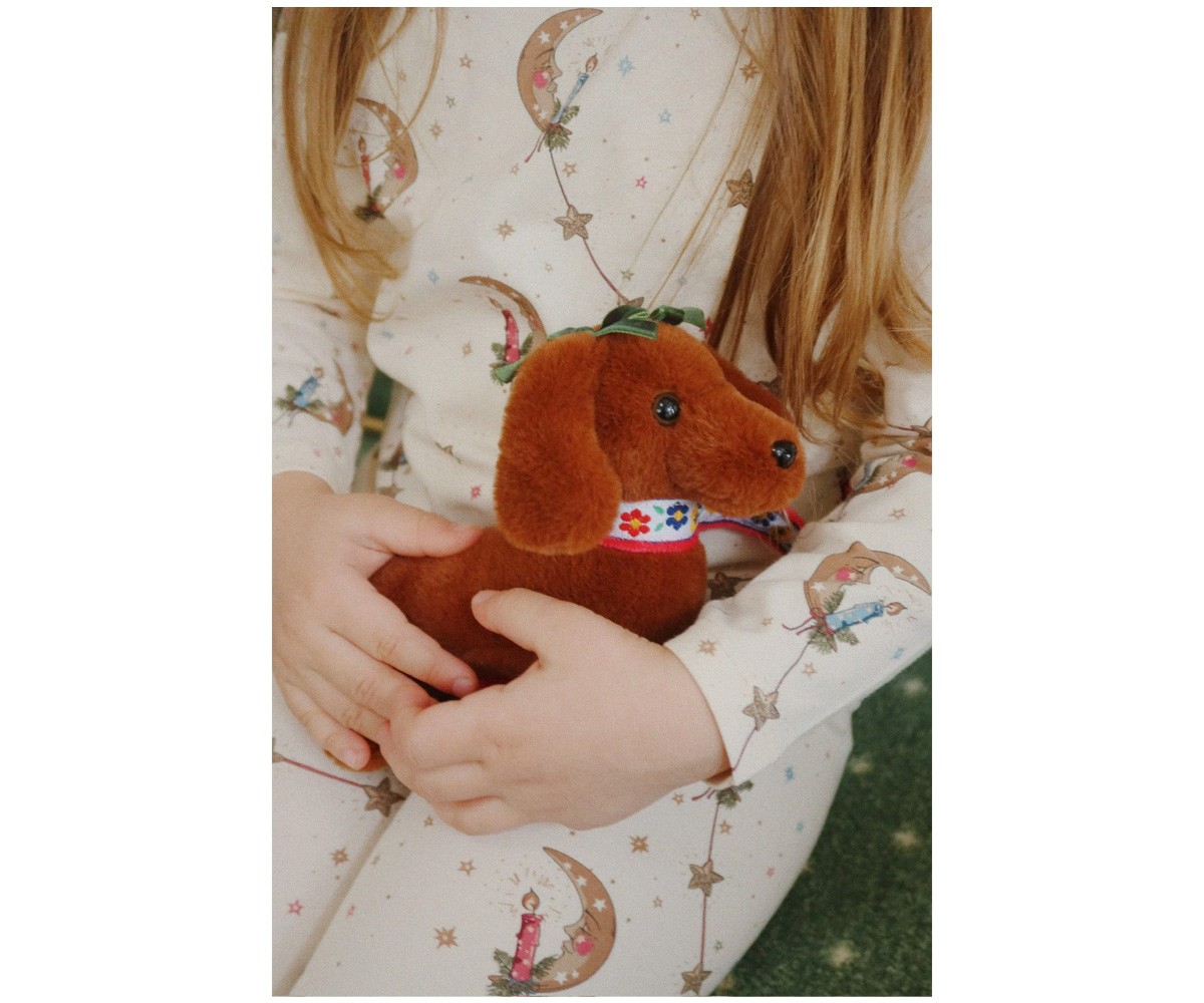 Mascota Cachorro Multi