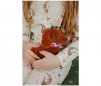 Animal de Compagnie Chiot Multi