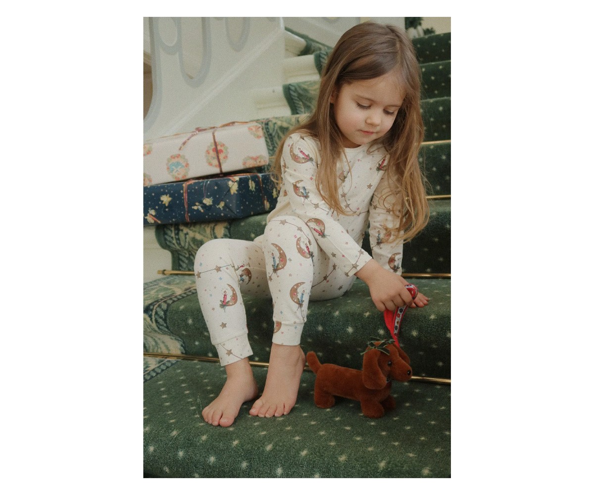 Mascota Cachorro Multi