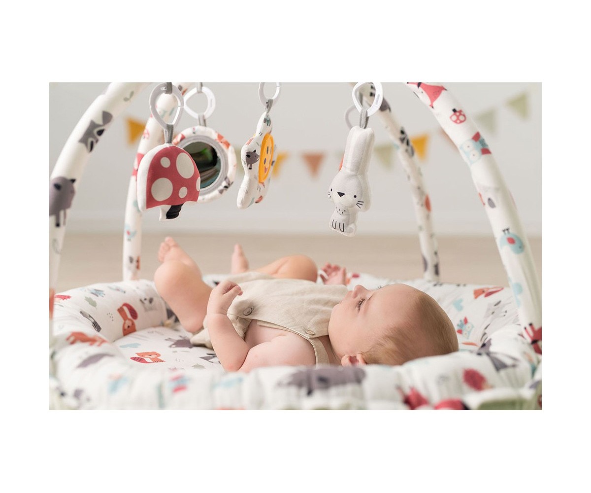 Gimnasio de Actividades Reversible Forest Green