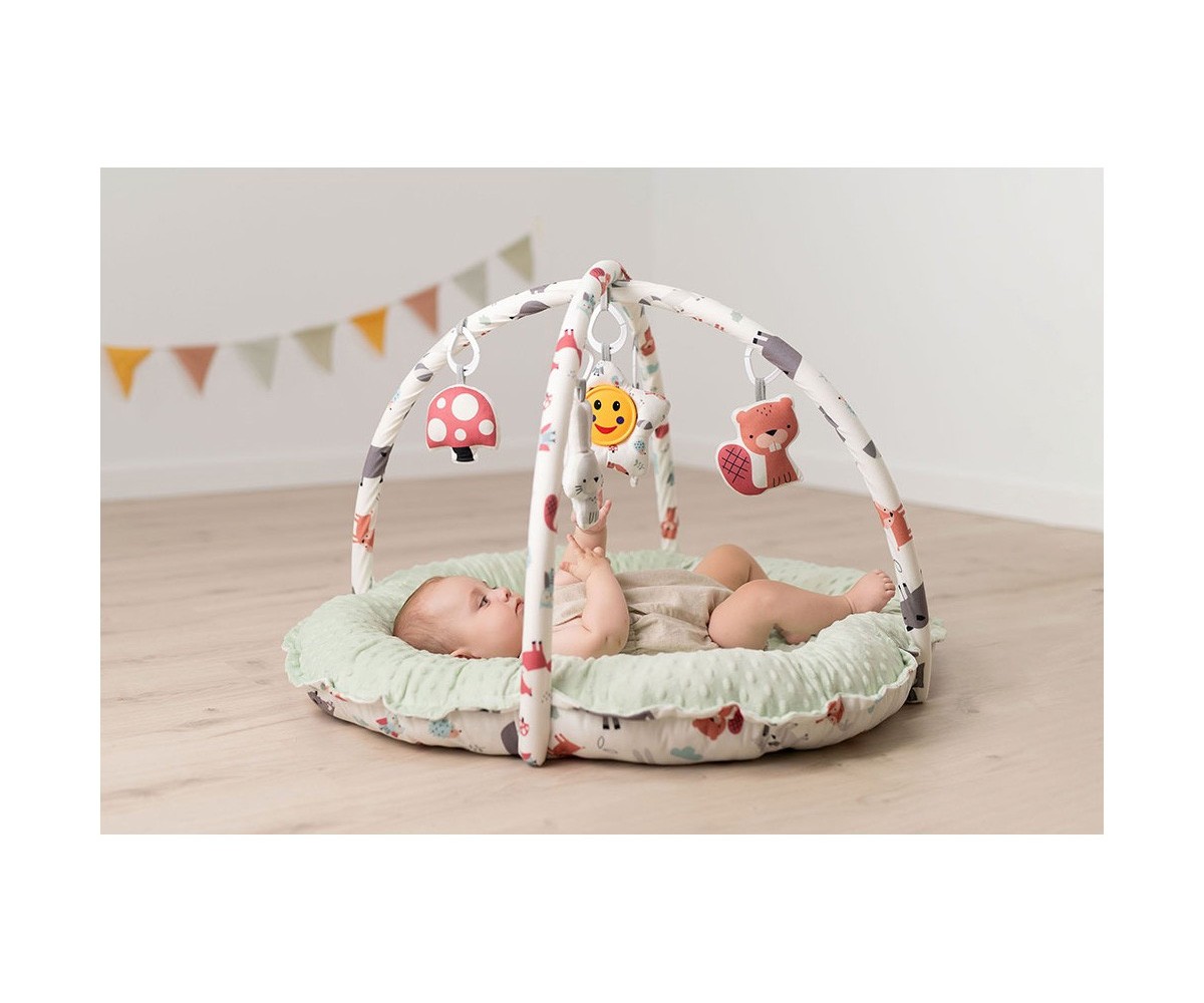 Gimnasio de Actividades Reversible Forest Green