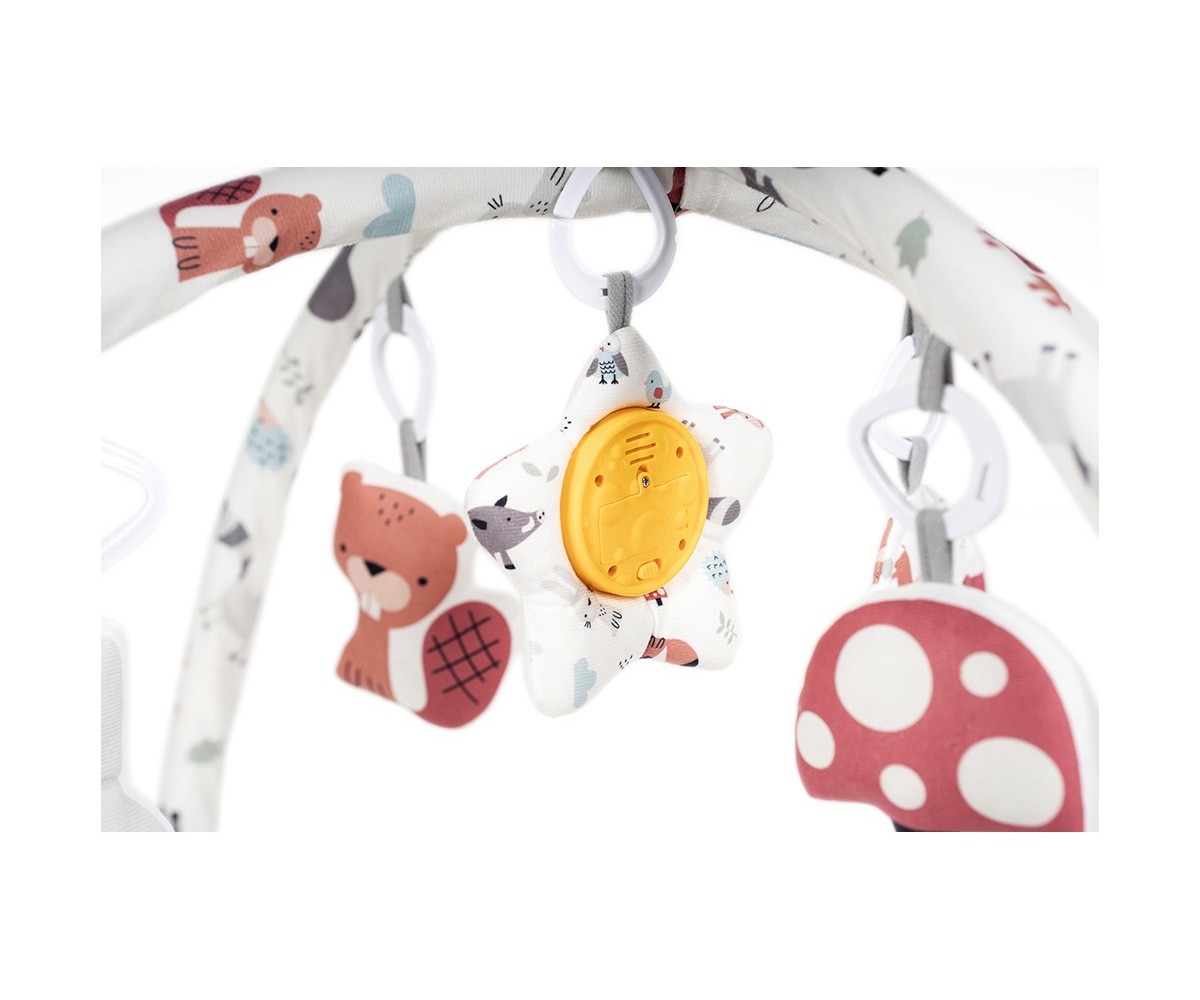 Gimnasio de Actividades Reversible Forest Green