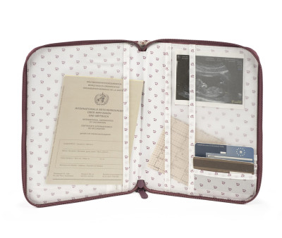 Porta Documenti Cherry Stripes