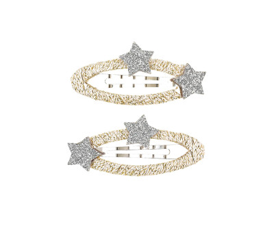 Pinzas para Pelo Zinzi Estrella Plata