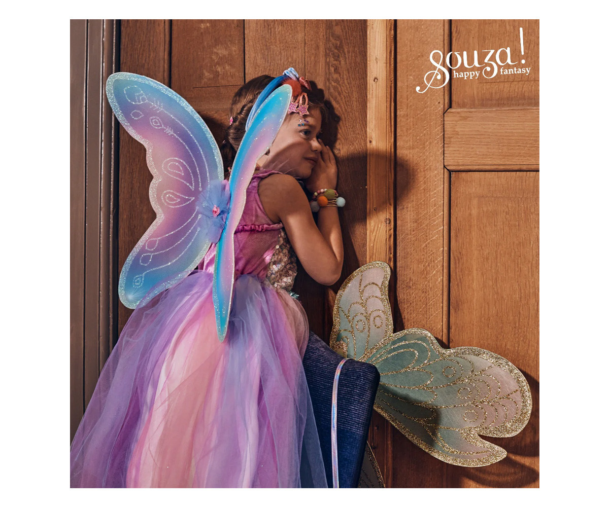 Disfraz Hada Mariposa Felicity