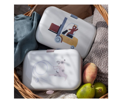 Lunch Box Teeny Toes