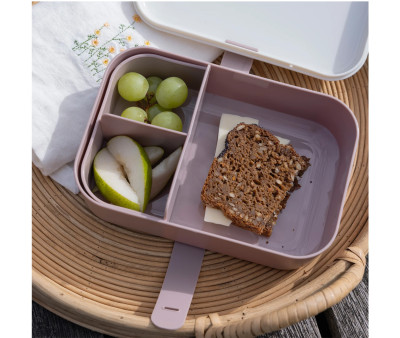 Lunch Box Teeny Toes