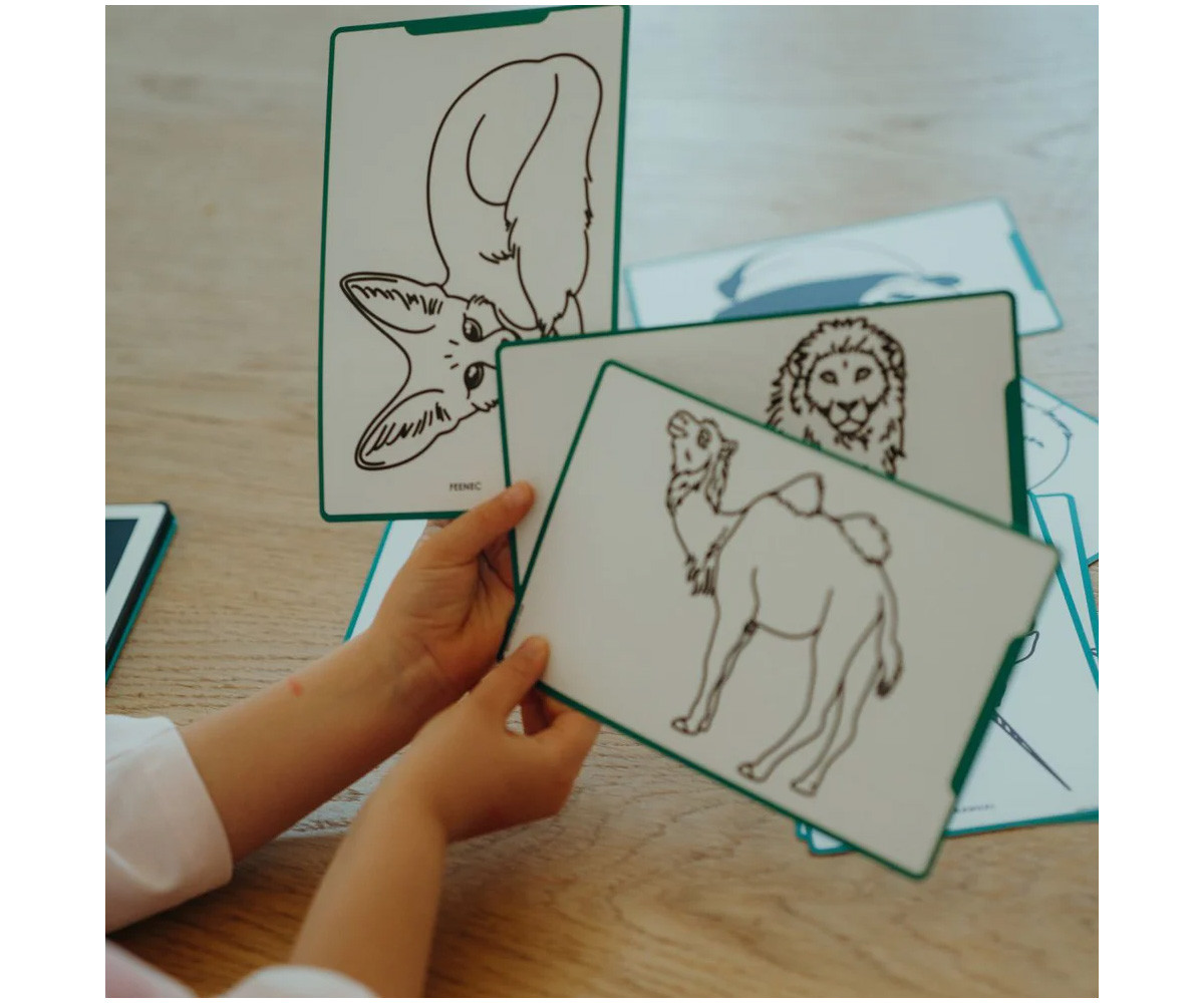 Plantillas KidyDraw Mini Animales, Océanos y Piratas