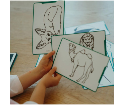 Plantillas KidyDraw Mini Animales, Océanos y Piratas