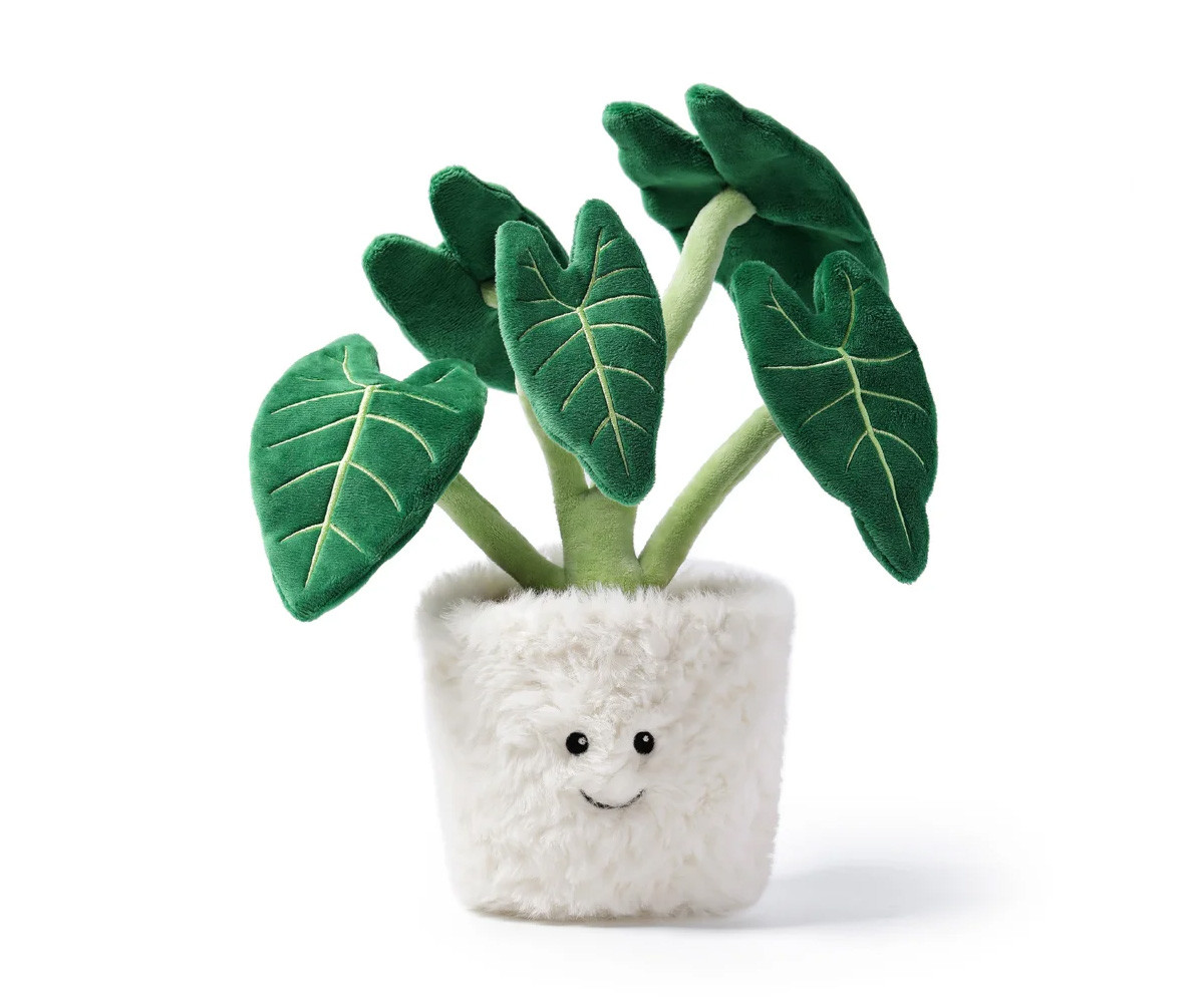 Peluche Bonsai Alocasia