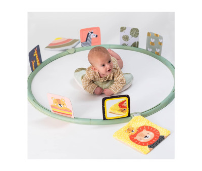 Entrenador de Actividades Boca Abajo