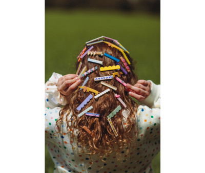 2 Fermagli per Capelli Flying Dog