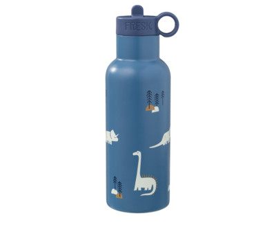 Botella Térmica con Boquilla Recambio Dinosaurio 500ml