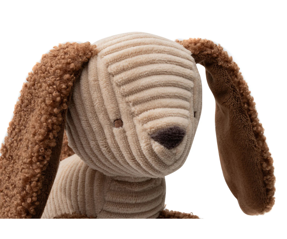 Giocattolo da Appendere Diego Dog