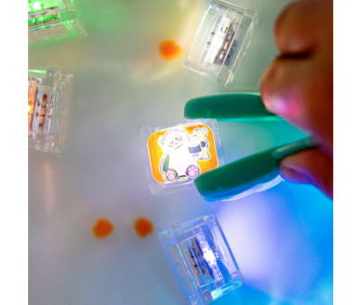 Set de Cubos Sensoriales Lumoinosos Party Zoo