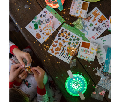 Set de Jarra y Rellenos Sensoriales Zoo